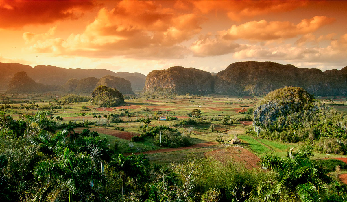 Excursión a Viñales